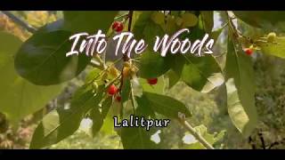 preview picture of video 'INTO THE WOODS | LALITPUR | TRAVEL NEPAL (vlog #31)'