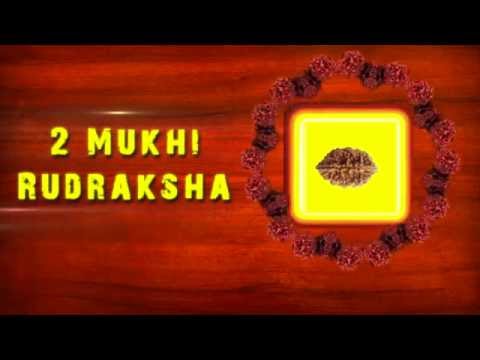 Specifications of 2 mukhi rudraksha