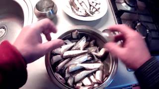 Как поймать уклейку в рыбном месте