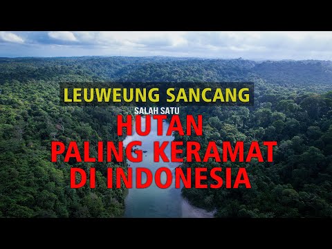 LEUWEUNG SANCANG!!! HUTAN PALING ANGKER Tapi Menyimpan Keindahan Yang Luar Biasa #AdrasaID #Sancang