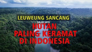 Download lagu LEUWEUNG SANCANG!!! HUTAN PALING ANGKER Tapi Menyimpan Keindahan Yang Luar Biasa #AdrasaID #Sancang mp3