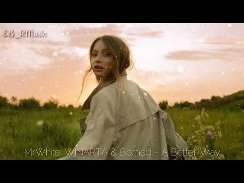 MrWhite, WINARTA & Borned - A Better Way