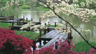 The Garden- Mirah