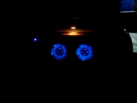 Rumble in the Jungle