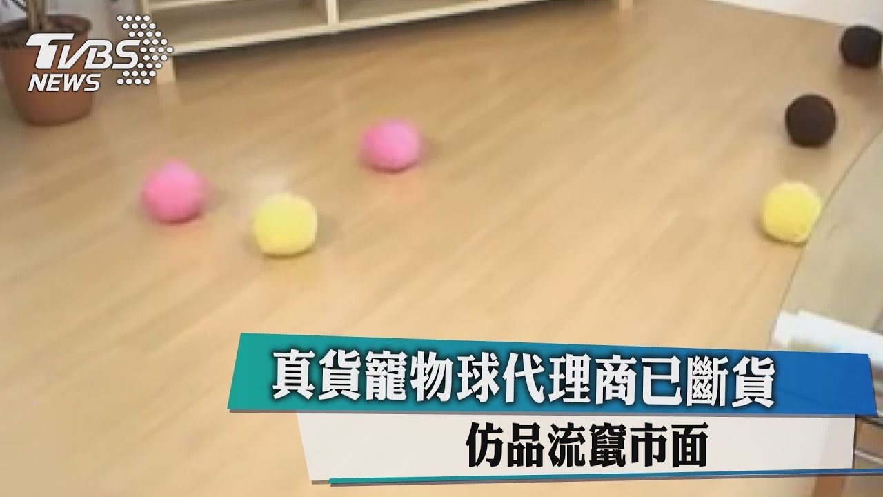 真貨寵物球代理商已斷貨 仿品流竄市面