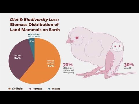 CARTA: Sixth Mass Extinction, the Tree of Life, and the Future of Humanity
