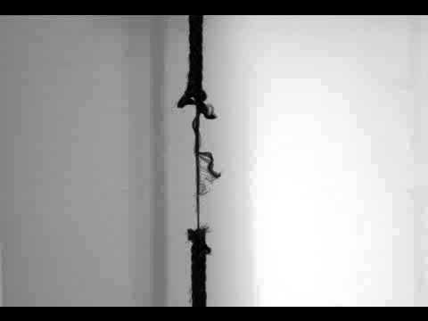 Pende de un hilo -  Odin, trusty, juanky, shera