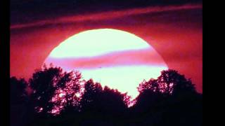 The Way You Look Tonight "By" Kenny Vance & The Planotones