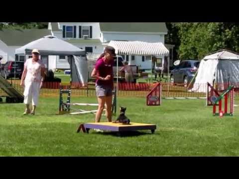 Zeus pin head on crack!