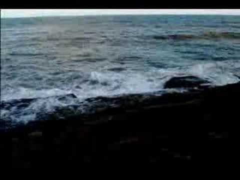 DA MESMA CANÇÃO (VICTÓRIA NASSER)