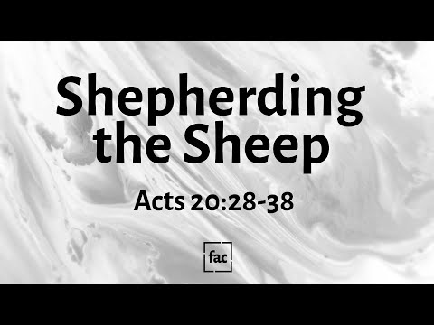 Shepherding the Sheep | Acts 20:28-38