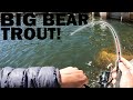 Trout Fishing Big Bear Lake+Catch and Cook