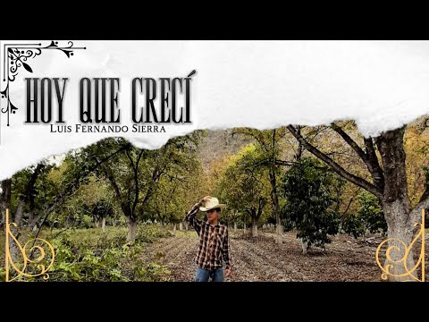 HOY QUE CRECÍ - Luis Fernando Sierra [AUDIO OFICIAL]