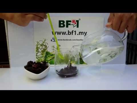 Malaysia Herbals - Roselle Flowers Tea [BF1]