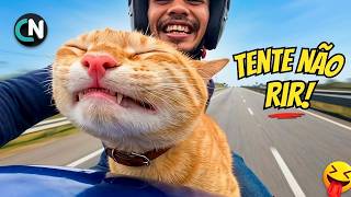 Quais São os MEMES MAIS ENGRAÇADOS de 2026 que Você Não Conhece? PARTE 04