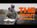 Tight Lines in the Pines - McCall Idaho