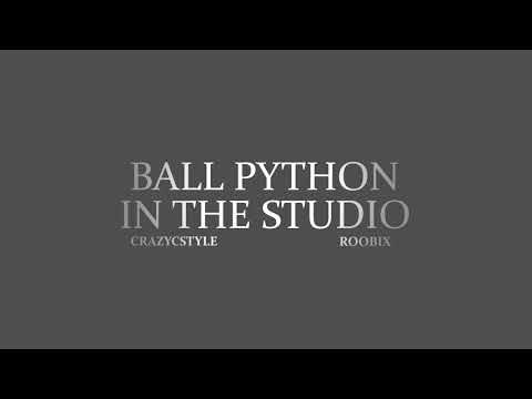 BALL PYTHON IN THE STUDIO - CRAZYCSTYLE X RoobIX