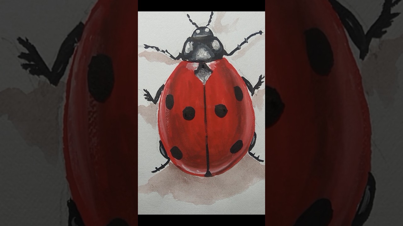 🐞 ladybug #shorts #ytshorts #ladybug #viralvideo