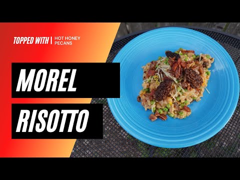 How to Cook Risotto | Morel Mushroom Risotto Recipe