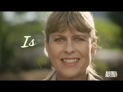 Thumbnail of the video: 'Crikey! It's the Irwins' (2018) Trailer