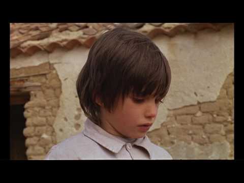 Observations on Film Art: THE SPIRIT OF THE BEEHIVE—A Child’s Point of View