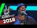 Aretha Franklin - Respect (Monica Lewis-Schmidt) | The Voice of Germany | Blind Audition