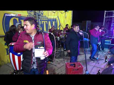 El Hijo Que Negue - El Gato Felix Navarro