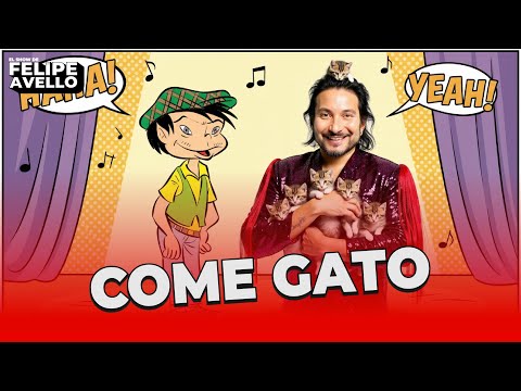 "EAT CAT" - Felipe Avello live from Centro Mori 2025