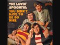 The Loving Spoonful You Didn T Have To Be So Nice