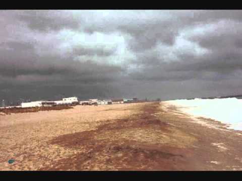 The Mermen - Ocean Beach (studio version)