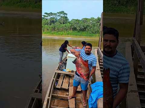 PARTE 12 | RETORNANDO DE PANDO A COCHABAMBA Continuamos descubriendo los encantos de Puerto Rico