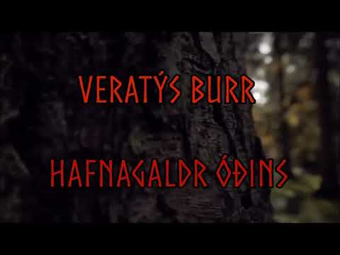 Hrafnagaldr Óðins /Folk music / Viking music