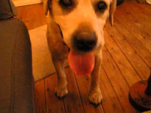 Floyd & Evie Fall in Love - Part 1