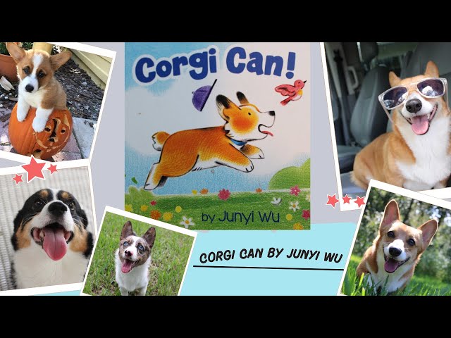 Vídeo relacionado con Corgi Can