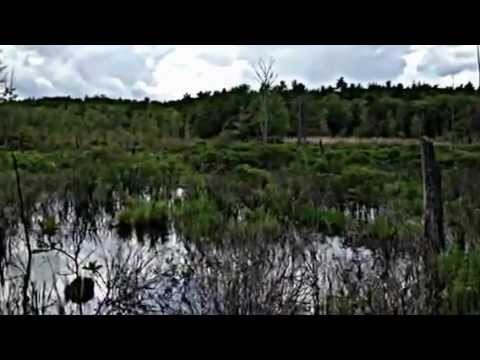 Land for sale in Phillipston, MA - Sold