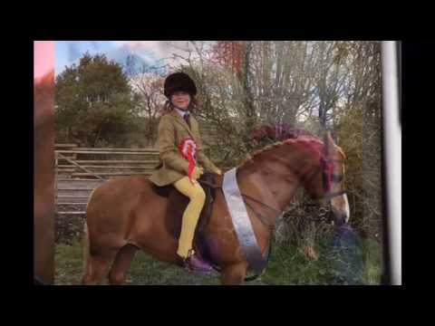 All That Jazz - Top Class 122cm Cradle Stakes Pony