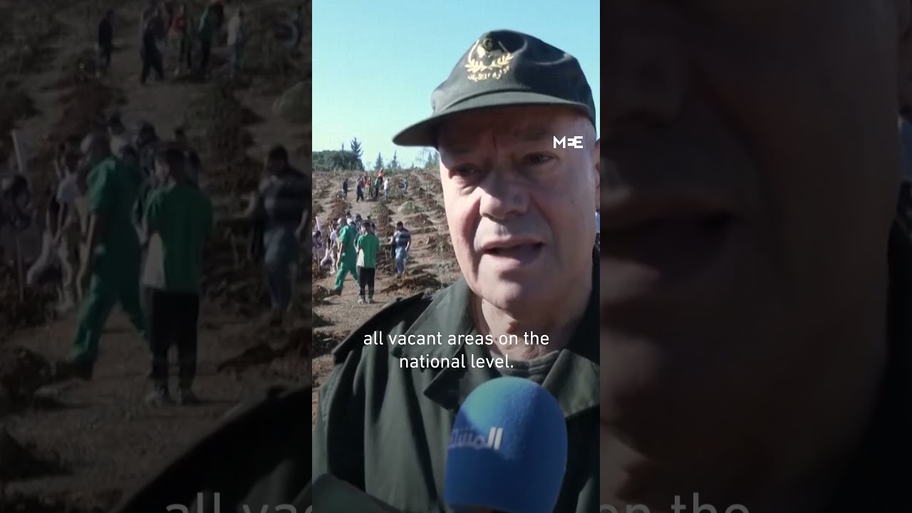 Algeria launches nationwide tree-planting campaign to revive forests lost to wildfires