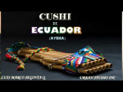 Cushi de Ecuador - Aysha  / Otavalo - Iluman