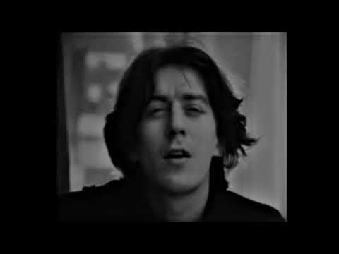 Cseh Tamás - Születtem Magyarországon...