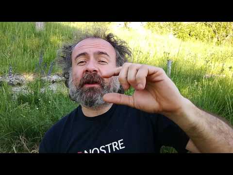 Plato: The Myth of the Birth of Eros and the Theory of Degrees of Beauty