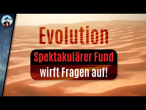 Etwas stimmt nicht mit unserer Evolutionstheorie...