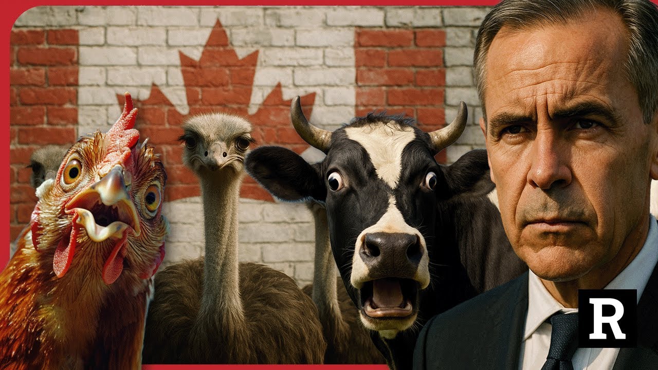 Canadians have had ENOUGH