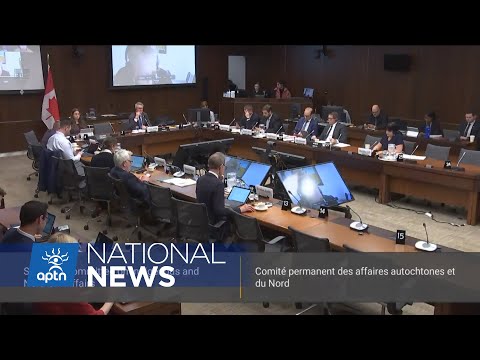 Yellowhead Institute executive director weighs in on landback before committee in Ottawa | APTN News