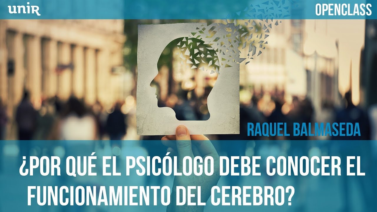¿Por qué el psicólogo debe conocer el funcionamiento del cerebro? | UNIR OPENCLASS