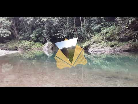 DISCO - WHY HAVEN'T I TOLD YOU(setup)