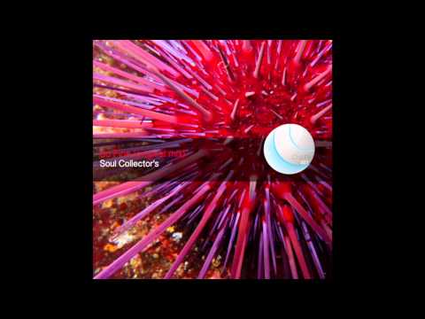Soul Collector's - So Fine