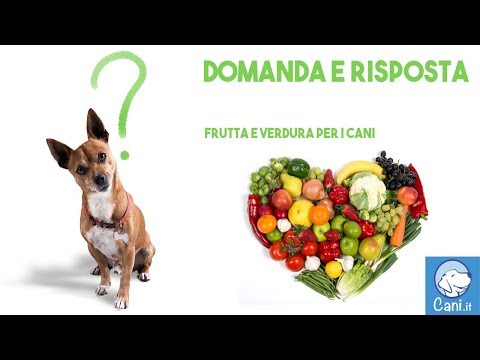 Quello che le ragazze come pene piccolo Farmaci per la potenza on-line