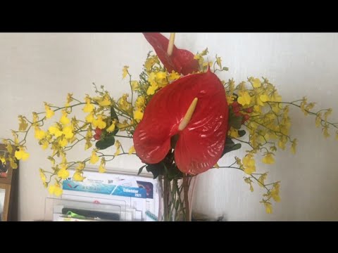 Plants/flowers at home na nakakarelax tingnan