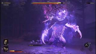 【鬼武者 Way of the Sword】大鵺