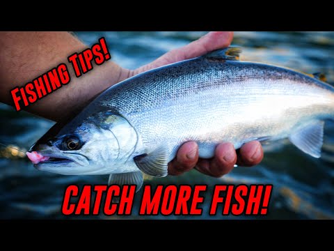 How To BACK BOUNCE Eggs For Salmon, Trout, & Steelhead. (SUPER EFFECTIVE.)